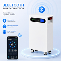 Sistema ESS Residencial Híbrido Solar Apilable con Batería LiFePO4 de Grado A, 16kWh, 51.2V, 314Ah, con Interacción de Tira LED y Almacenamiento Inteligente