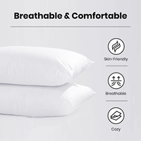 Taie d'oreiller de collection hôtelière King Size, lot de 2 - Grandes taies d'oreiller en duvet rafraîchissantes au gel pour le dos et le ventre