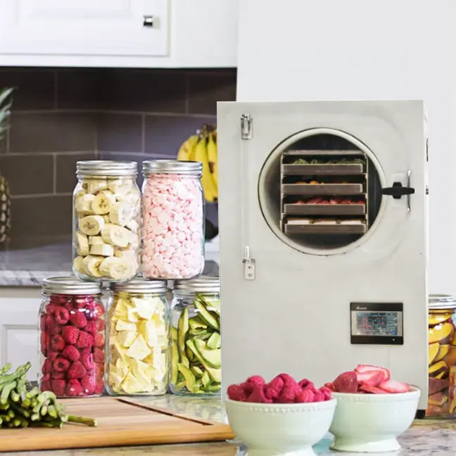 Alimentaire Fruits Légumes Liofilizador Lyophilisateur Machine Séchoir Sous Vide Prix