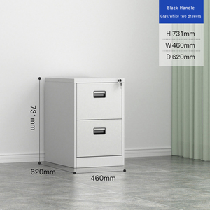 Nhà máy mới của 2-ngăn kéo thép Tủ hồ sơ bột áo kim loại văn phòng Lưu trữ tập tin an toàn hộp cho phòng tập thể dục hội thảo trường sử dụng mới - Product Image 6