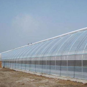 <span class=keywords><strong>ต้นไม้</strong></span>ผลไม้การเกษตร25ตาข่าย40ตาข่าย60ตาข่าย Hdpe เรือนกระจกหน้าต่างป้องกันแมลงสุทธิหน้าจอ - Product Image 3