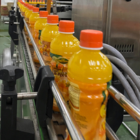 Ligne de production de machines de remplissage et d'embouteillage automatiques à changement rapide pour la fabrication de jus de noix de coco et de jus d'ananas