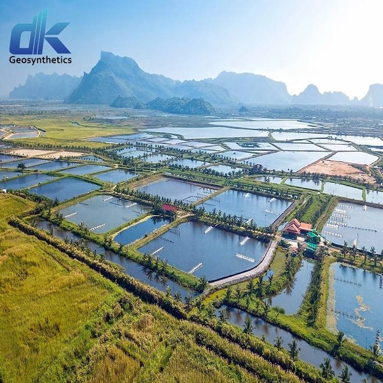0,75 мм 0,5 мм Лобстер 1,0 мм Hdpe геомембрана цена лайнер для креветок и прудов для рыбной фермы hdpe лайнер для пруда