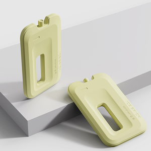 Top Selling Wholesale Reusable Traffic Anti-leak Lunch Bag Cooler Reusable Hardcase Ice Gel Pack