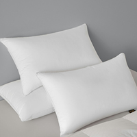 Vente en gros de nouveaux coussins en coton de haute qualité personnalisés pour hôtel, blancs, pour lit d'hôtel
