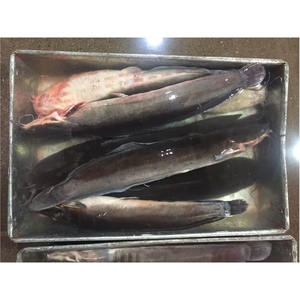 Poisson-chat surgelé en gros à bas <span class=keywords><strong>prix</strong></span>, exportation, élevage de poissons, meilleur <span class=keywords><strong>prix</strong></span> pour le poisson-chat en vente - Product Image 2