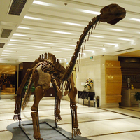 Réplica de Esqueleto de Dinosaurio de Metal a Tamaño Real para Parques de Aventuras y Centros Comerciales