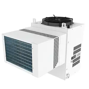 Unidade condensadora de baixa temperatura para o armazenamento frio