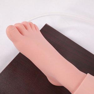 หุ่นจำลองทางการแพทย์ PVC ขนาดเท่าคนจริง ทนทาน สำหรับฝึกทักษะทางคลินิก การเจาะไขกระดูกและการเจาะเลือด DARHMMY - Product Image 5