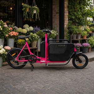Vélo électrique pliable 48 V 250 W 20 pouces 7 vitesses en alliage d'aluminium avec batterie au lithium et moteur roue arrière pour la ville et le transport en gros - Product Image 4
