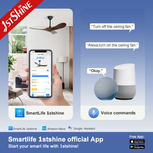 Ventilador de Techo 1stshine de 42 Pulgadas con Tres Aspas de Madera Sólida, Motor DC Silencioso, Alto Flujo de Aire, Ventilador de Techo Pequeño - Product Image 6