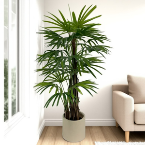 Palmier artificiel <span class=keywords><strong>Dypsis</strong></span> Lutescens en gros, simulation de palmier tropical <span class=keywords><strong>Areca</strong></span> pour la décoration extérieure, les fêtes et l'aménagement paysager - Product Image 1
