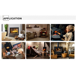 Chimeneas de hierro fundido de fuego de madera real para interiores de diseño moderno con vidrio refractario como pantalla a la venta - Product Image 6