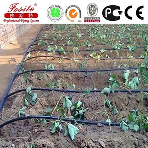 Tuyau d'irrigation <span class=keywords><strong>goutte</strong></span> <span class=keywords><strong>à</strong></span> <span class=keywords><strong>goutte</strong></span> en PEHD 1/2 pouce en rouleau pour l'agriculture, l'agriculture, le jardinage, le système d'arrosage - Product Image 6