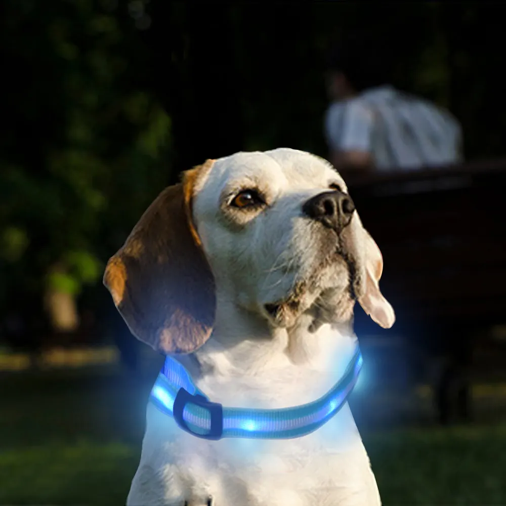 2021ナイロンペット用品トレーニングアクセサリーホット販売卸売高級イノベーション製品バッテリーストリングLED犬の首輪