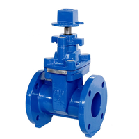 Valve de porte 200psi en fonte, avec extrémités à bride, écrou carré, livraison gratuite