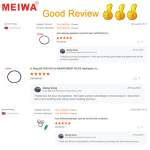 Kit di riparazione chiusura 180100019 consegna rapida per pompe <span class=keywords><strong>Bosch</strong></span> CP1H e CP1H3 - Product Image 6