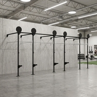 Estación de Dominadas y Dipes Montada en Pared con Múltiples Agarres, Brazos de Seguridad y Estructura de Acero para Entrenamiento Funcional en Casa