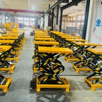Table élévatrice à ciseaux électrique personnalisée WEMALiFT Pallet Pioneer, plateforme élévatrice pour handicapés en acier Q235