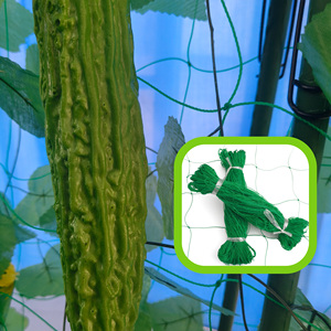High Quality HDPE Customized <strong>NET</strong> HOME Brand <strong>Garden</strong> Climbing <strong>Net</strong> Plant Support Cutting <strong>Mesh</strong> Sizes 20-40cm 2-4m Height 15-100m - Product Image 4