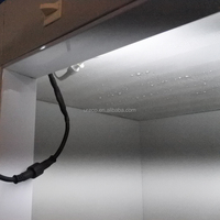 Réfrigérateur à glace à 2 portes vitrées personnalisable par le fabricant avec refroidissement par ventilateur pour affichage commercial