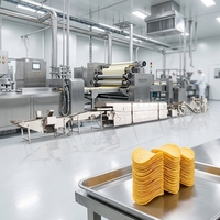 Robuuste constructie, productielijn voor aardappelchips, betrouwbare continue werking voor industriële snackverwerking