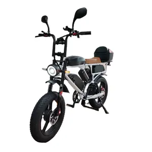 52V bici elettrica doppio motore tripla batteria 66Ah forte sospensione freno idraulico 2000W prova di pugnalata grasso pneumatico bici elettrica