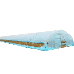 Serra Agricola Commerciale Industriale per Pomodori 8x50m a Costo Ridotto a Campata Singola - Product Image 6