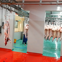 Equipo de matanza de ovejas/cabras/corderos adecuado para proyecto llave en mano de matadero