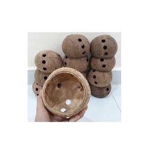 Vente en gros pot de fleur de coquille de noix de coco écologique/pot de coquille de noix de coco du Vietnam fabrique - Product Image 1