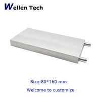 Bloc de refroidissement liquide en aluminium Wellentech 80*160*12mm, dissipateur thermique à montage en surface, garantie 12 mois pour CPU et semi-conducteurs
