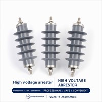 Parafoudre composite à oxyde de zinc 10kV/11kV, type poste de transformation, protection haute tension contre la foudre, mise à la terre 25A