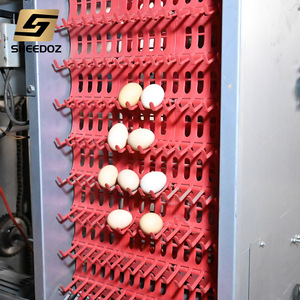 Nuova Gabbia Automatizzata a Strati per Polli Tipo H con Acciaio Zincato, Attrezzatura Completamente Automatica per l'Allevamento di Uova, Design Economico - Product Image 6