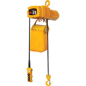 Paranco Elettrico a Catena da 100 kg, 150 kg, 250 kg, 1 Tonnellata, 1.5 Tonnellate, 2 Tonnellate, 3 Tonnellate con Carrello Motorizzato e Controller in Metallo per Sollevamento Domestico - Product Image 6