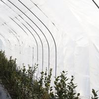 Couverture en plastique transparente polyéthylène clair PE bâche agriculture serre bâche