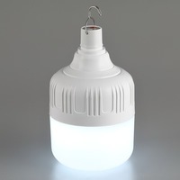 Ampoule LED rechargeable avec USB et batterie, à suspendre avec crochet pour le camping en extérieur et l'éclairage d'urgence à domicile