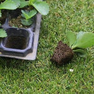 Bandeja de semente de fazenda, treinador de raiz profunda extra grande 200 célula verde bandeja iniciante com dome - Product Image 5