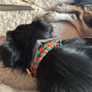 Collar de Perro Personalizable de Lujo Hecho a Mano con Hebilla de Metal Resistente, Longitud Ajustable, Trenzado Suave de Paracord y Cuero, Elegante - Product Image 5