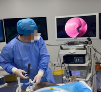 Caméra endoscopique portable TWC-400 : Idéale pour les cliniques vétérinaires et les hôpitaux pour animaux – Pratique et efficace pour les soins sur site
