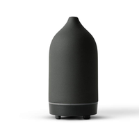 Classique éternel Offre Spéciale 100ML diffuseur de roseau bouteille creuse humidificateur pierre électrique céramique diffuseur d'arôme huile essentielle