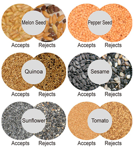 WENYAO Trieuse de graines de cynorrhodon manuelle économique, haute précision, efficace, pour le tri chromatique des graines - Product Image 4