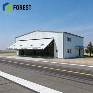 Hangar de Acero Industrial Resistente para Almacenamiento de Aviones, Instalación Rápida, Suministro Global - Product Image 1