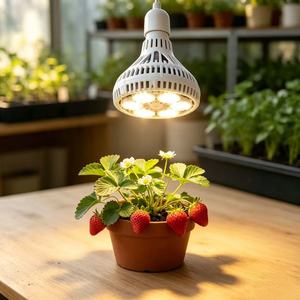 Lampe de culture LED BR30 36W de type coupelle réflectrice pour la culture de plantes d'intérieur à domicile à l'étranger - Product Image 1