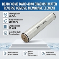 Élément de membrane BWRO 4040, rejet de sel de 99,7 %, 2650 GPD, pression maximale de 600 PSI, filtre RO pour eau saumâtre