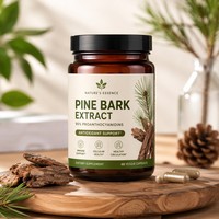 Extrait de Corteil de Pin Premium en Poudre 95% OPC Proanthocyanidines Qualité Alimentaire pour le Soutien Antioxydant et la Beauté de la Peau