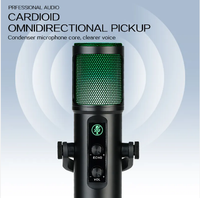USB-C RVB filaire flux enregistrement bureau Studio Podcast ordinateur condensateur Microphone Kit enregistrement Studio équipement pour téléphone