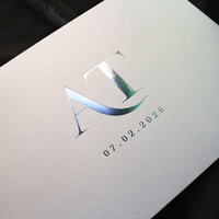 Invitación de Boda de Estilo Simple, Acrílico Esmerilado con Estampado Plateado y Sobre Blanco para Boda