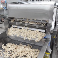 Ligne de transformation automatique de chips de banane plantain, machine de fabrication de chips de manioc, prix