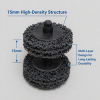 Disque abrasif en carbure de silicium REX pour polissage métal/non-métal - Roue à bouton à changement rapide OEM/ODM