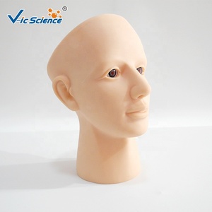 Modèle de formation en rétinothérapie pour la science médicale, modèle d'infirmier en PVC, modèle de démonstration pédagogique en <span class=keywords><strong>ophtalmologie</strong></span> - Product Image 5